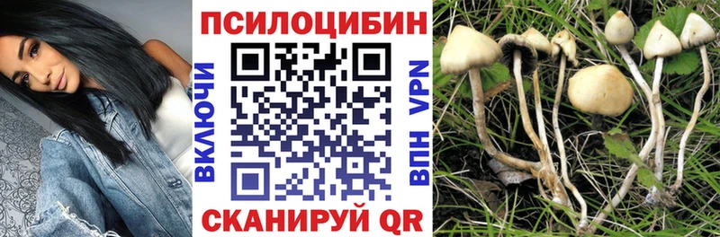 Псилоцибиновые грибы GOLDEN TEACHER  Вольск 