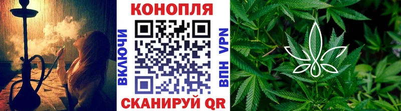 Канабис сатива  Вольск 